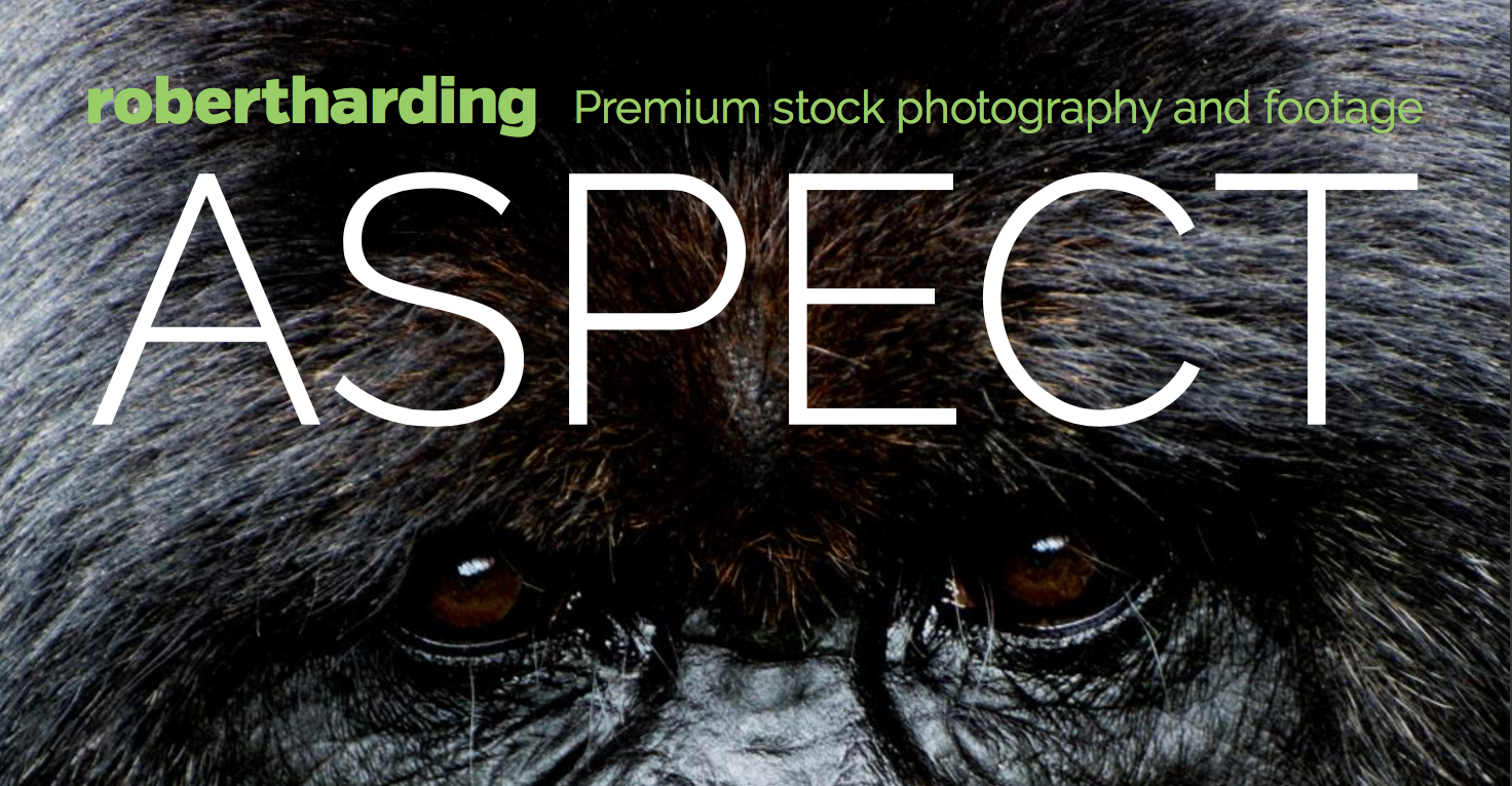 We’re proud to present Aspect magazine