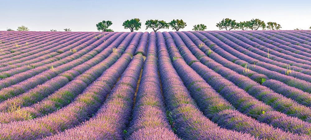 Francesco Vaninetti’s latest magical photos of France