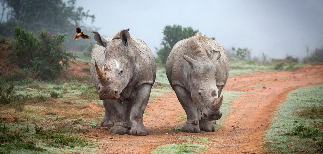 Matt Parry’s South African road trip