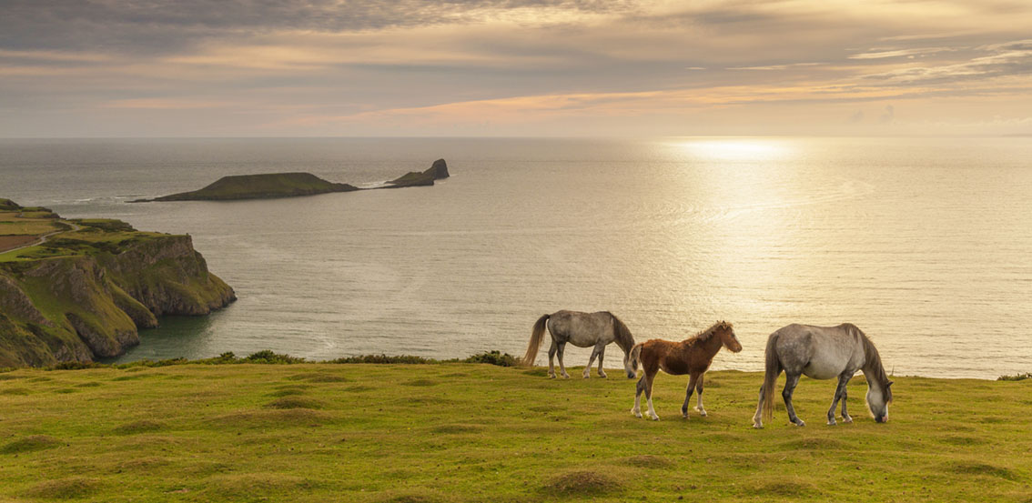 Billy Stock’s Welsh odyssey