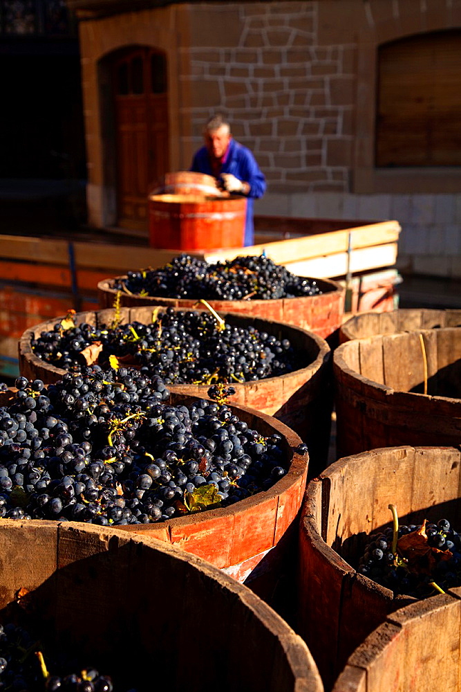 Bodega Lopez de Heria wine cellar in the village of Haro, La Rioja, Spain, Europe
