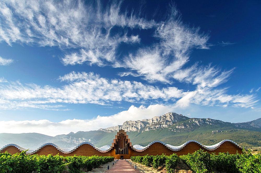Emblematic Ysios winery in Laguardia designed by Santiago Calatrava, La Rioja, Alava, Basque Country, Spain